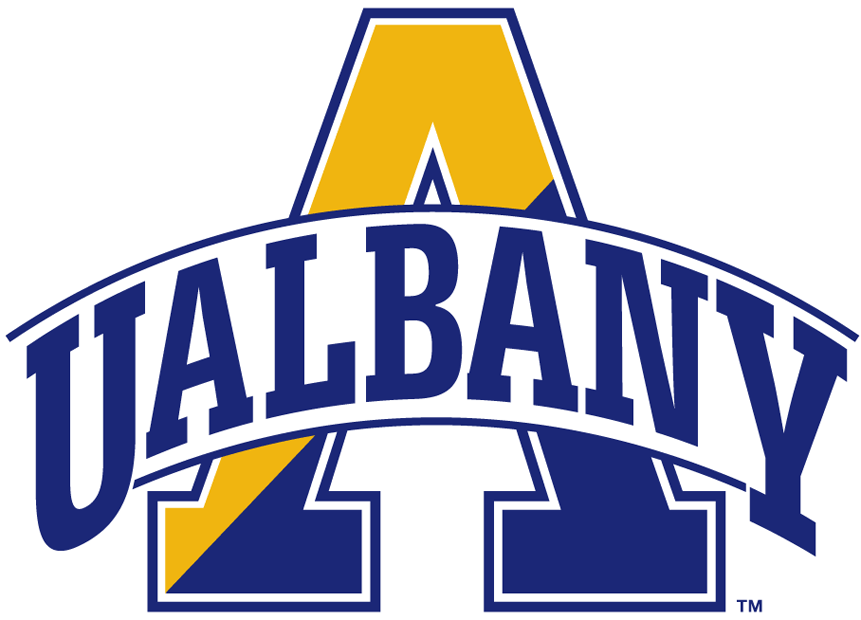 Albany Great Danes 2004-Pres Alternate Logo v6 iron on transfers for clothing